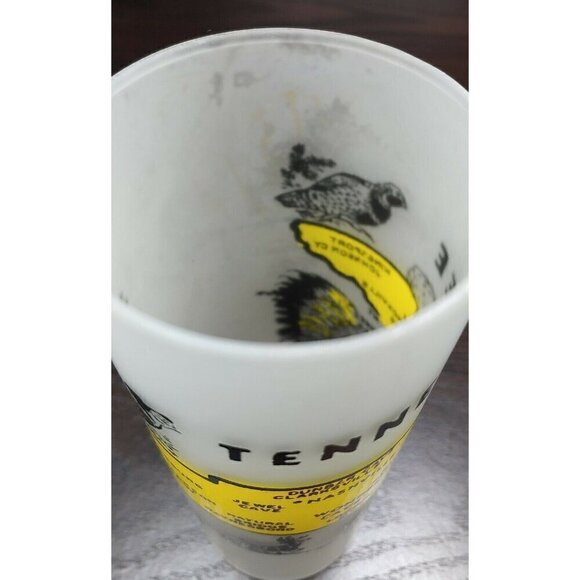 Vintage Anchor Hocking Flosted Glass Tennessee Drinkware And Barware Tumbler Mug - Picture 7 of 9